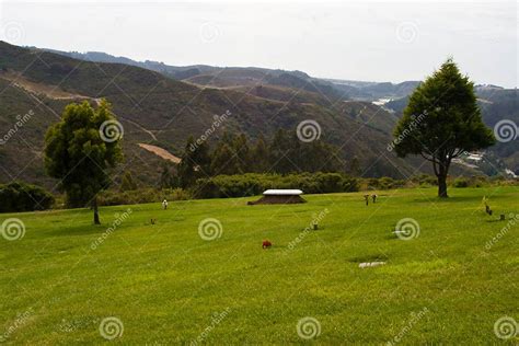 half moon bay cemetery|skylawn memorial park obituaries.